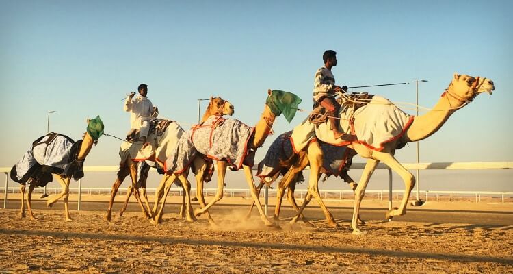 Things to know about UAE culture before you travel there
