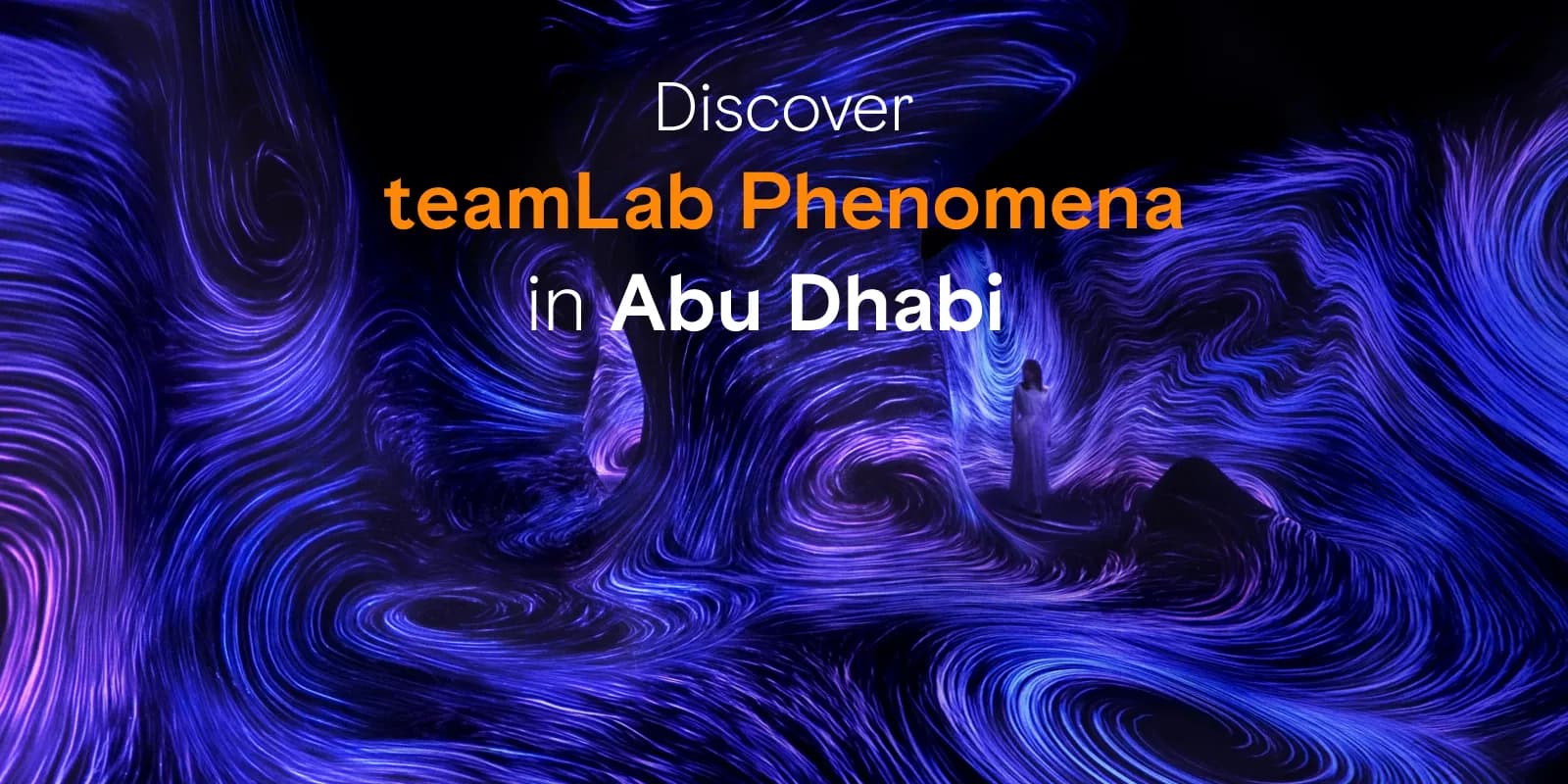 Teamlab Phenomena Abu Dhabi